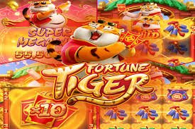 Cricket and casino-style entertainment layout for 333 bet Bangladesh users